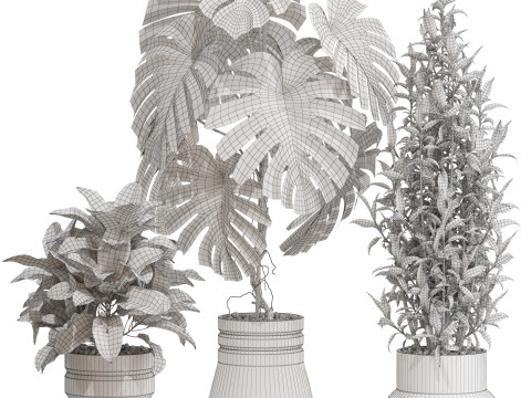 Plants collection 721 Modèle 3D