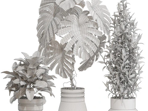 Plants collection 721 3D Model