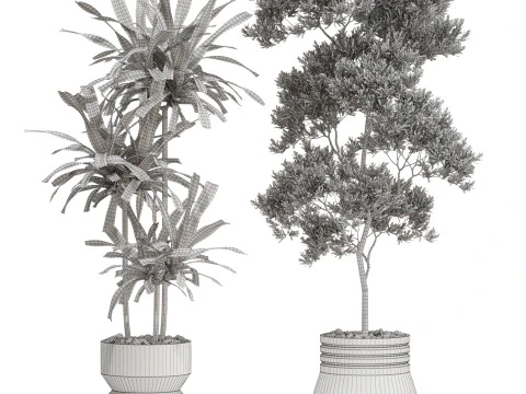Plants collection 721 3D Model