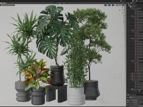 Plants collection 721 Modèle 3D