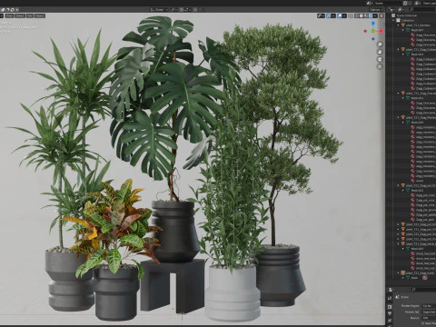 Plants collection 721 3D Model