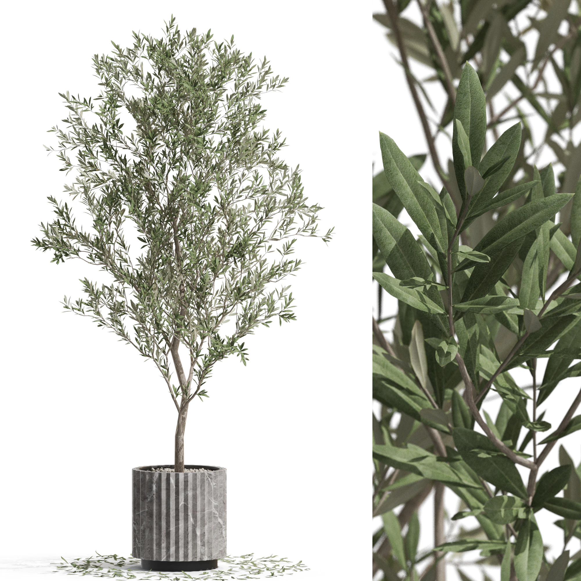 Plants collection 722 3D Model .c4d .max .obj .3ds .fbx .stl .blend 