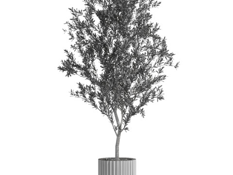 Plants collection 722 Modello 3D
