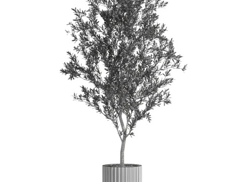 Plants collection 722 3D Model