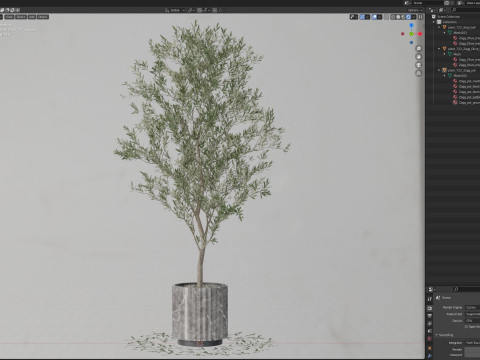 Plants collection 722 Modello 3D