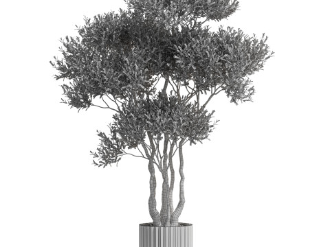 Plants collection 723 Model 3D
