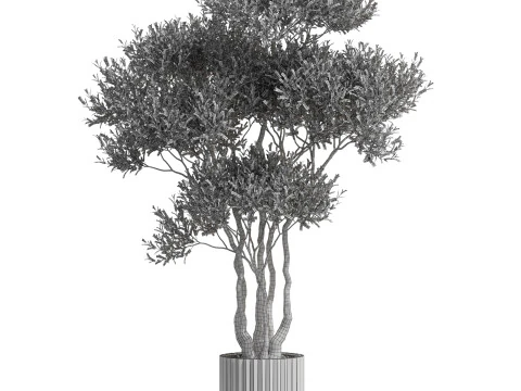 Plants collection 723 3D Model