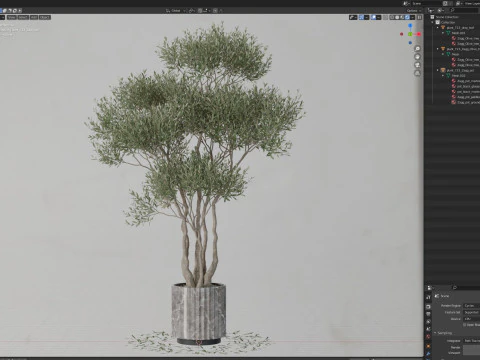 Plants collection 723 3D Model
