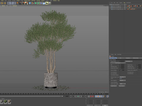 Plants collection 723 Model 3D