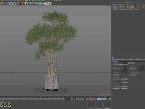 Plants collection 723 3D Model
