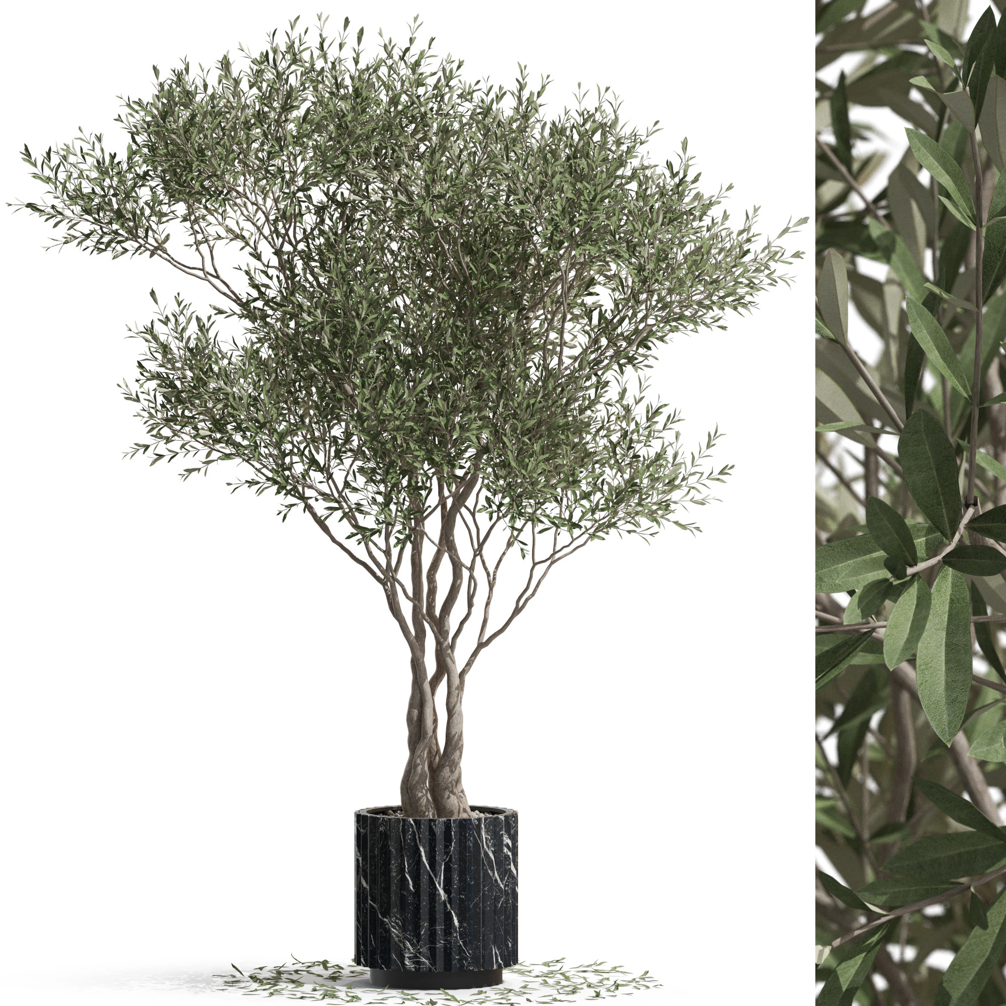 Plants collection 724 3D Model .c4d .max .obj .3ds .fbx .stl .blend