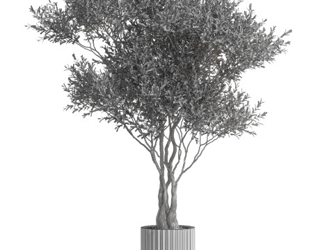 Plants collection 724 Modello 3D