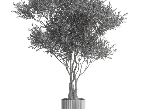 Plants collection 724 3D Model