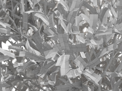 Plants collection 724 Modello 3D