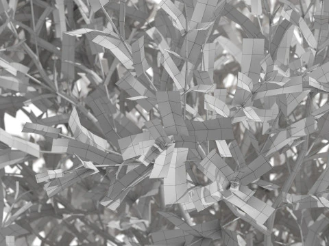 Plants collection 724 3D Model