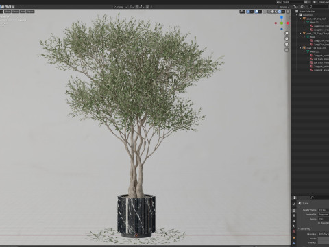 Plants collection 724 Modello 3D
