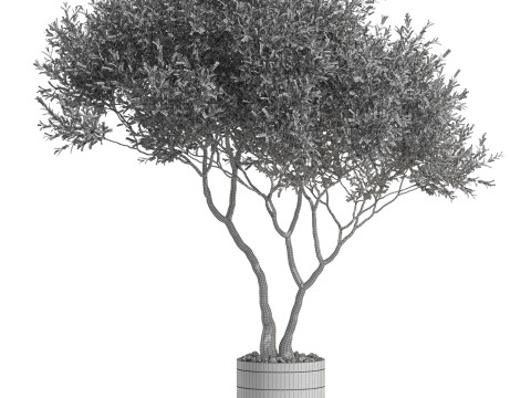 Plants collection 725 Modelo 3D