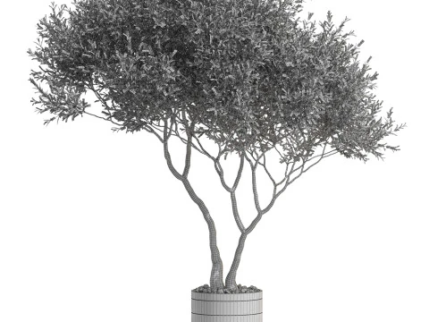 Plants collection 725 3D Model