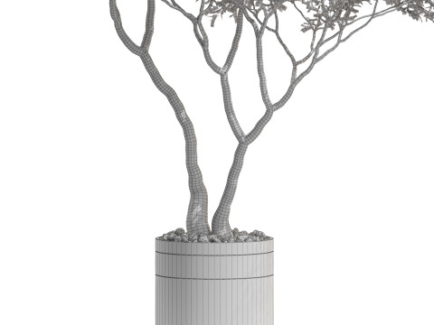 Plants collection 725 Modelo 3D