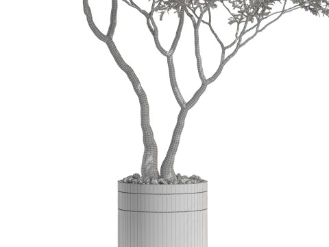 Plants collection 725 3D Model