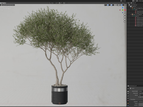 Plants collection 725 Modelo 3D