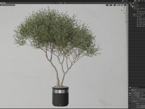 Plants collection 725 3D Model
