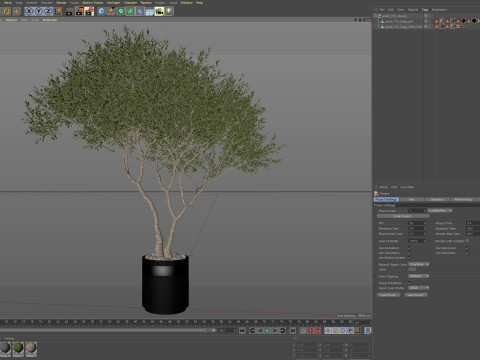 Plants collection 725 Modelo 3D