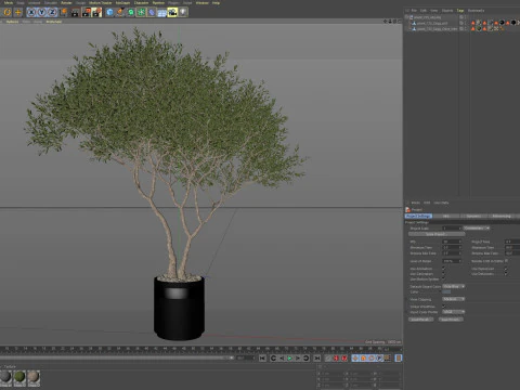 Plants collection 725 3D Model