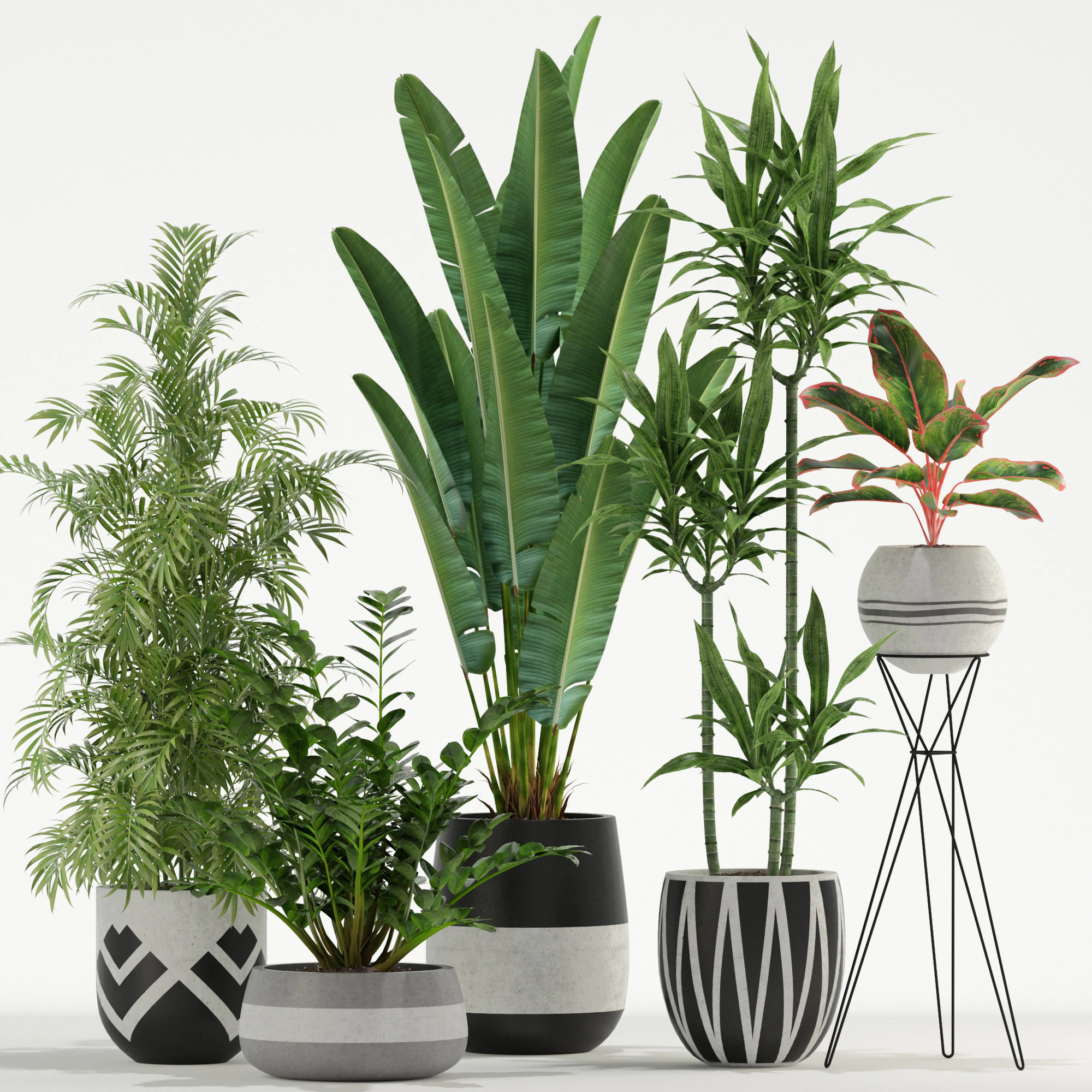 Plants collection 726 3D Model .c4d .max .obj .3ds .fbx .stl .blend 