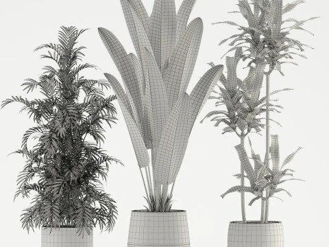 Plants collection 726 3D Model