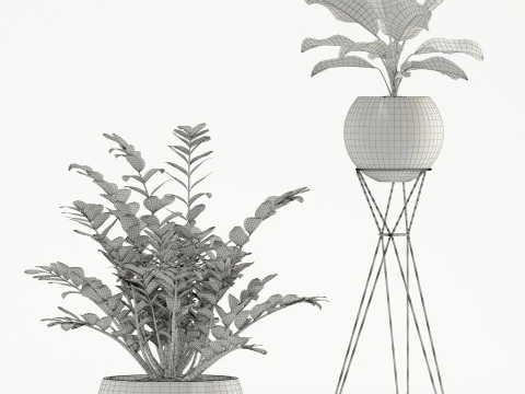Plants collection 726 3D Model