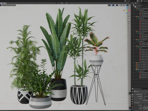 Plants collection 726 3D Model