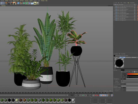 Plants collection 726 3D Model