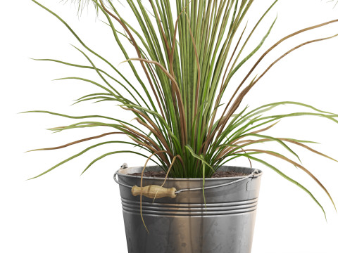 Plants collection 727 Modelo 3D