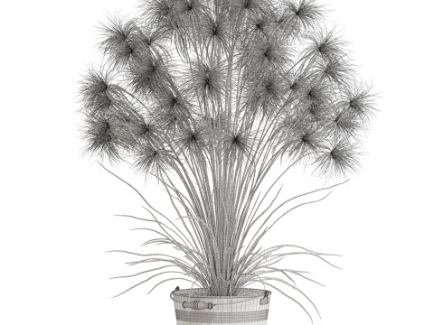 Plants collection 727 Modelo 3D