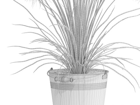 Plants collection 727 Modelo 3D