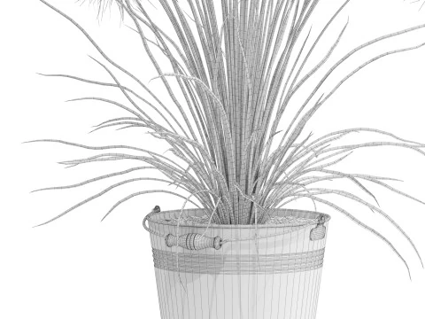 Plants collection 727 3D Model
