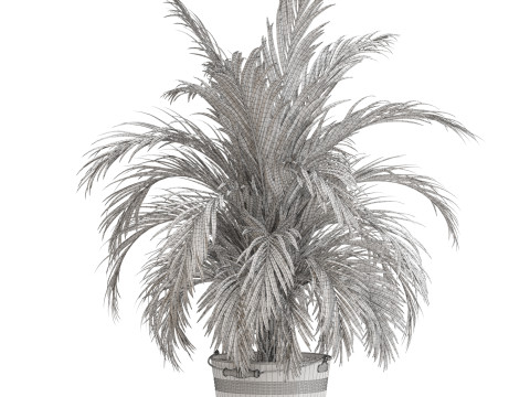 Plants collection 728 3D 模型