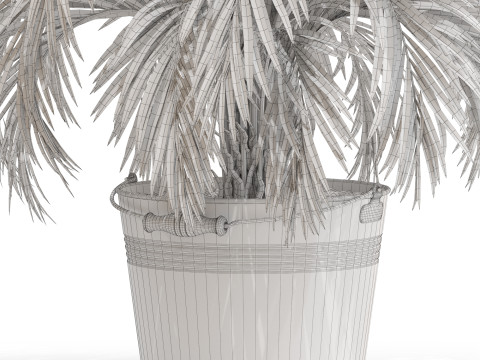Plants collection 728 3D 模型