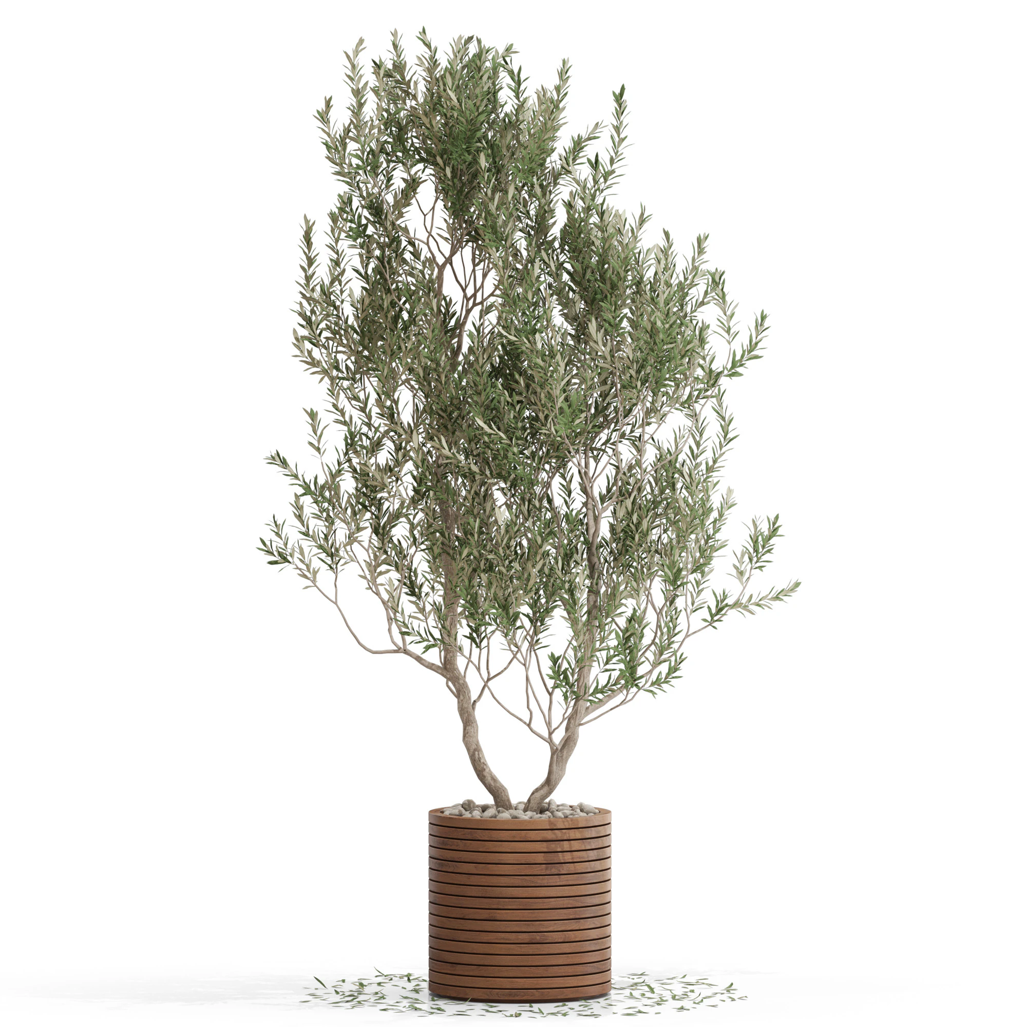 Plants collection 729 3D Model .c4d .max .obj .3ds .fbx .stl .blend