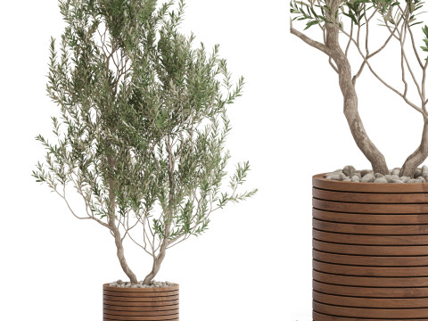 Plants collection 729 3D 모델