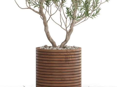 Plants collection 729 3D 모델
