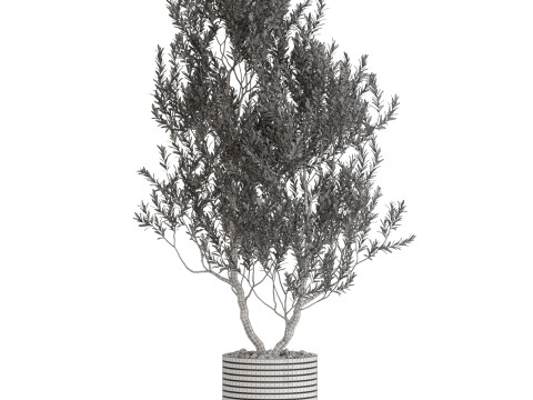 Plants collection 729 3D 모델