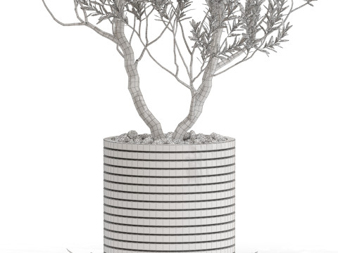 Plants collection 729 3D 모델