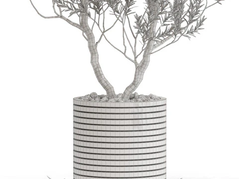 Plants collection 729 3D Model