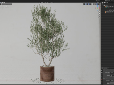 Plants collection 729 3D 모델