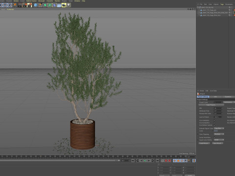 Plants collection 729 3D 모델