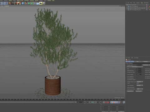 Plants collection 729 3D Model