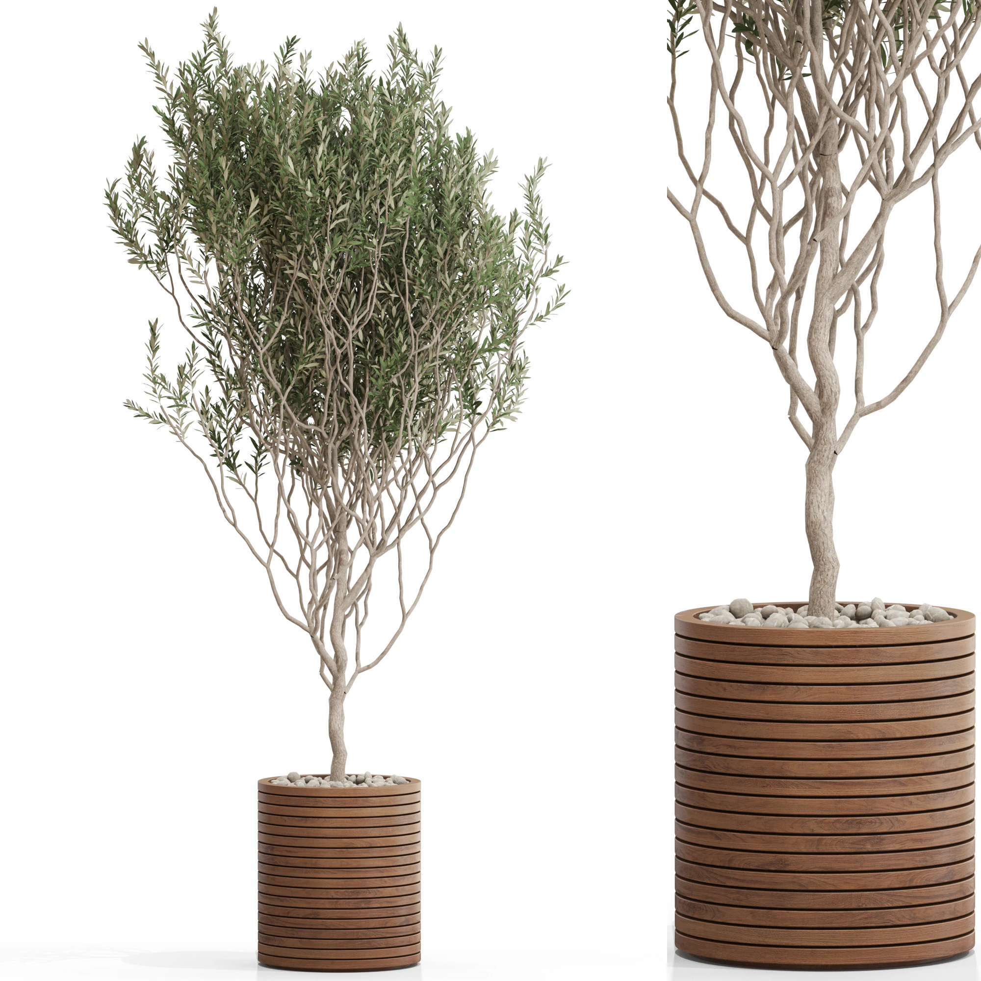 Plants collection 730 3D Model .c4d .max .obj .3ds .fbx .stl .blend 
