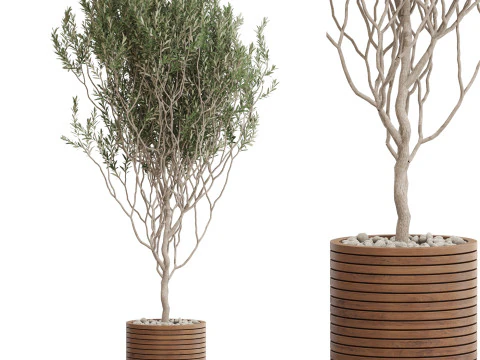 Koleksi tanaman 730 Model 3D